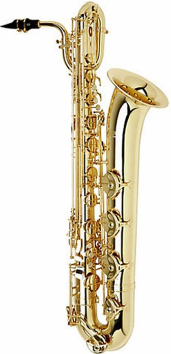 good saxophone on rent himachal-pradesh