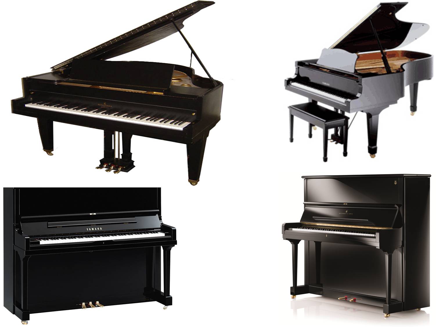 best piano on rent himachal-pradesh